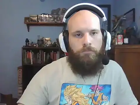 PDrents webcam