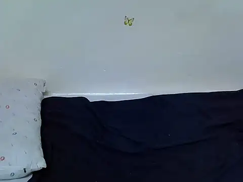 berrynova webcam