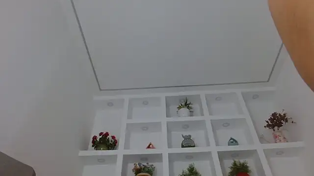 amara_sanchez webcam