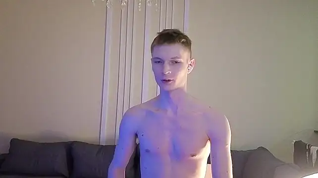 viksons webcam