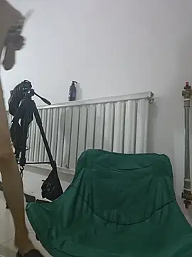 wangshuais webcam