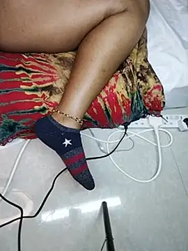 Lesky775 webcam