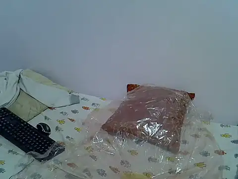 playfullnova webcam