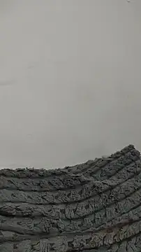 almitapro07 webcam