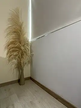 PaulPhoenix_ webcam