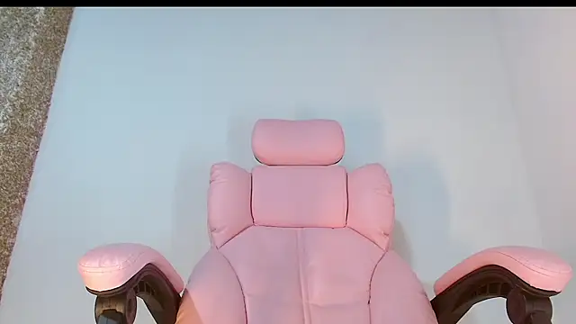 vs0034 webcam