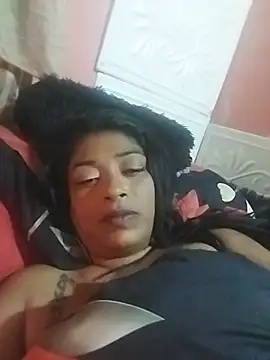 DOVE85 webcam
