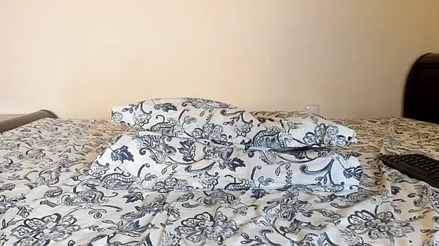 laguber webcam