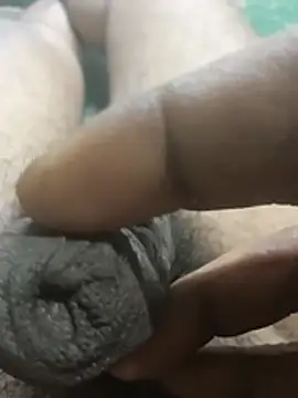 blackchocolateforest webcam