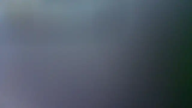 LilyIrons webcam