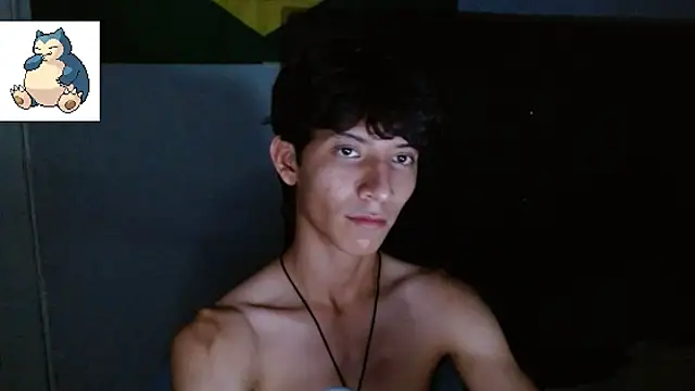 VAZAK webcam