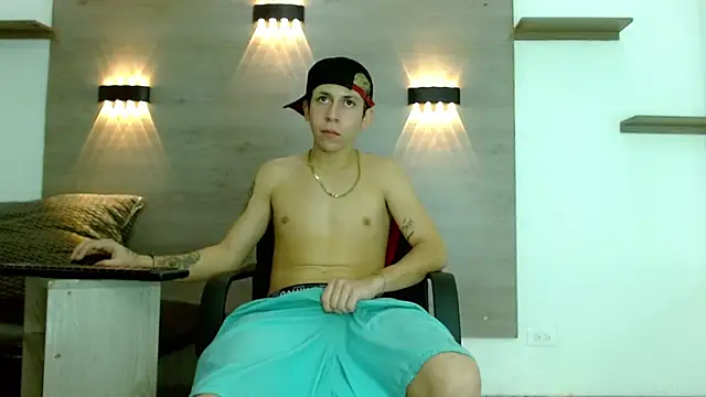 Gaeliitto webcam
