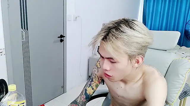 CC-778 webcam
