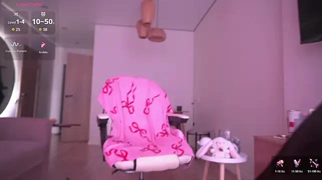 koyoomi webcam