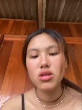 hoa_mai webcam