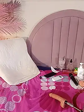 Nalapalmer webcam