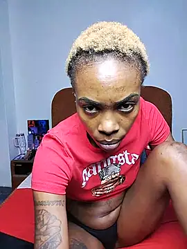 chocolata-cocoa webcam