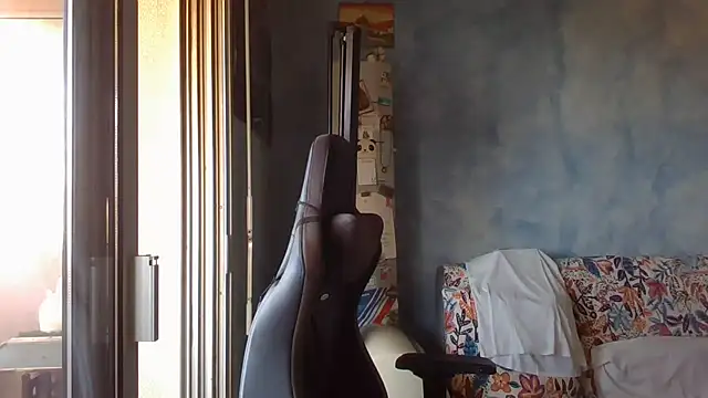 panda_06200 webcam