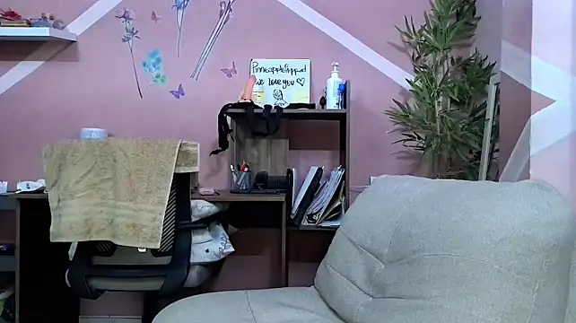 Pineappleflipped webcam