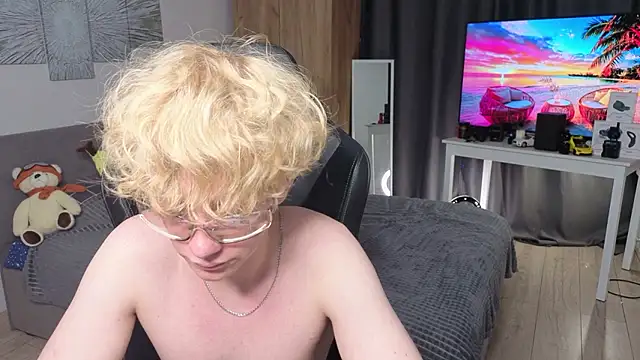 skydian webcam