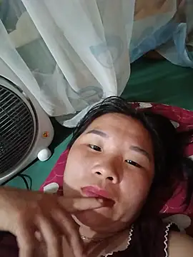 -Pudi- webcam