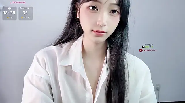 ice1-1e webcam