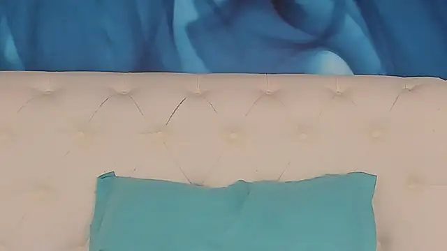SkinnyDolly webcam