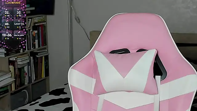bbJ_one webcam