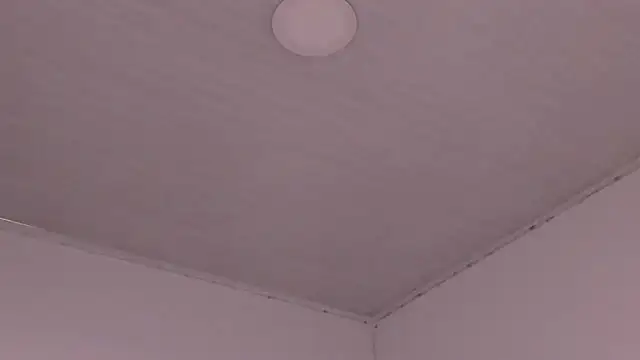 EvaBenely_ webcam