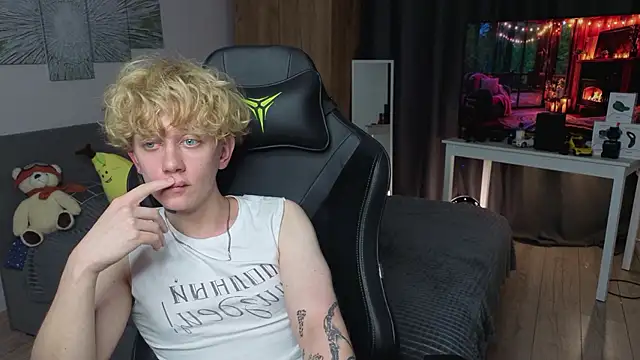 skydian webcam