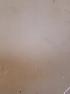 Vanilla_Creamm webcam
