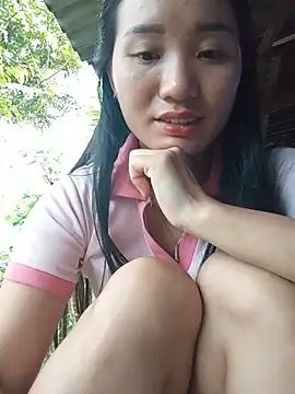 Td3di webcam