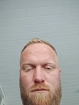 GingerFun webcam