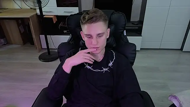 pvlpstvy webcam
