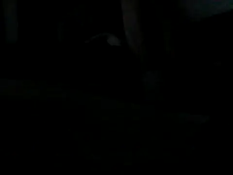 Silencio26 webcam