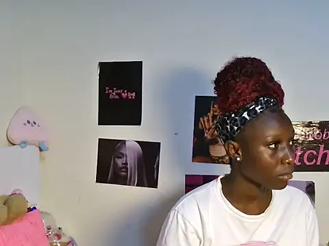 Aria_ah webcam
