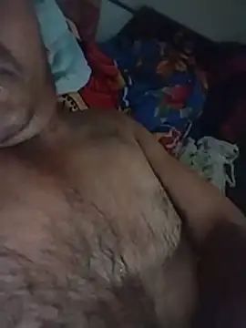Pitercom webcam