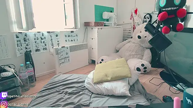 CeriseLapine webcam