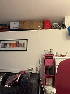 ladyturtle