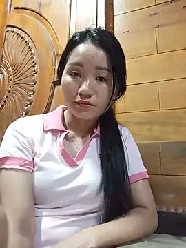 Td3di webcam