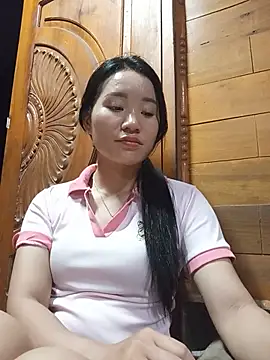Td3di webcam