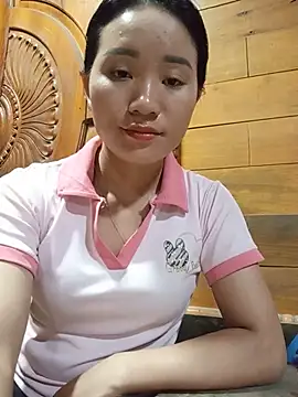 Td3di webcam
