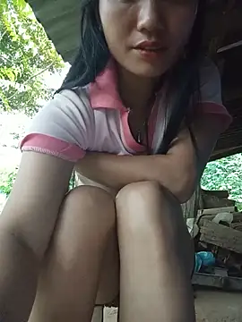 Td3di webcam