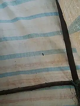 Thobaby112 webcam