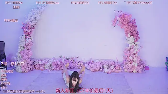 CJL-101 webcam
