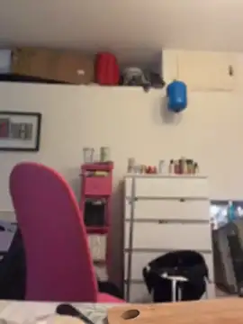 ladyturtle webcam