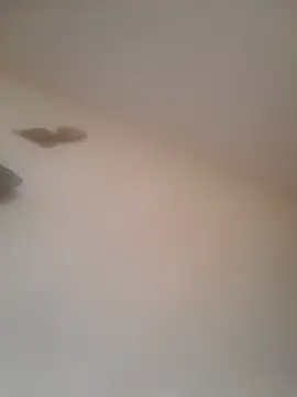 winniepussy