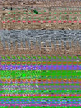 Talaxe_7