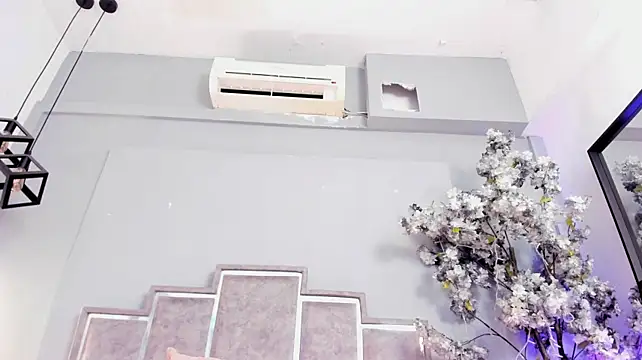 Cloedurant webcam