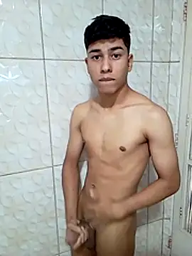 sss020 webcam